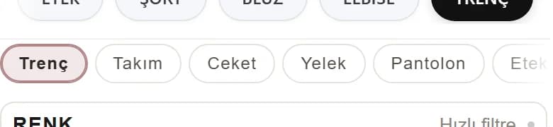 Kategori Menü Şeridi modülünün mağazadaki görünümü